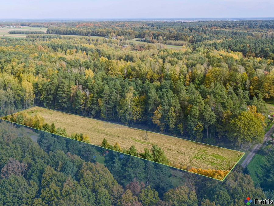 Działka budowlana 5650 m² z gotowym projektem domu – zdjęcie 1 z 20