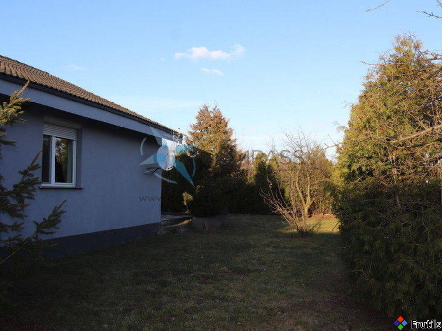 4-5pok/ok.100m2/ Dom dz.889m2,taras,2km od Wrześni – zdjęcie 14 z 16