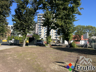 Teren do wydzierżawienia 100 m² -Józefowiec – miniatura 3