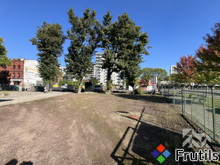 [Oferta Teren do wydzierżawienia 100 m² -Józefowiec]