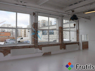 [Oferta Jasne,wysokie,loft 176m2 biuro,studio fot.,magaz.]