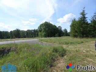 [Oferta Grunty rolno-budowlane 2,6 ha]